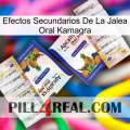 Kamagra Oral Jelly Side Effects 12